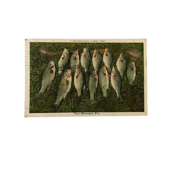 Vintage 1932 Lithograph Ephemera Postcard Humor Mess Of Fish Near Minocqua, WISC - Picture 2 of 9